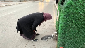 Aksaray'da otomobilin çarptığı kedisinin öldüğünü gören kadın gözyaşı döktü