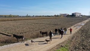 Çevre temizliğine eşek ve köpekleriyle gelen İspanyol akademisyenden plastik atık uyarısı: