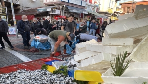 Edirne'de 5 liraya düşen hamsiye vatandaşlar yoğun ilgi gösterdi