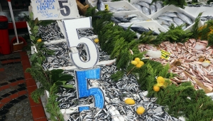 Edirne'de kilogramı 5 liradan satılan hamsi vatandaşlardan ilgi görüyor 