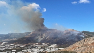 GÜNCELLEME 2 - Mersin'de çıkan orman yangınına müdahale ediliyor