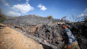GÜNCELLEME 3 - Mersin'de çıkan orman yangını kontrol altına alındı