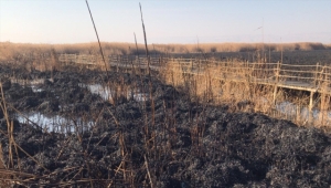 GÜNCELLEME - Kayseri'de Sultan Sazlığı Milli Parkı'nda çıkan yangın söndürüldü