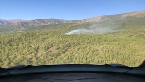 Hatay'da yıldırım düşmesi sonucu ormanlık alanda çıkan yangın söndürüldü