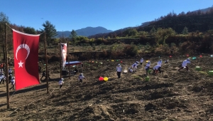 Isparta ve Burdur'daki orman yangınlarından etkilenen alanlarda fidanlar toprakla buluştu 