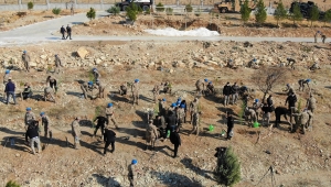 Mardin'de jandarma 1111 fidanı toprakla buluşturdu 