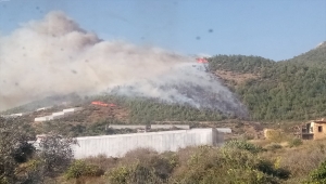Mersin'de çıkan orman yangınına müdahale ediliyor