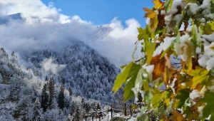 Rize'nin yüksek kesimlerinde kar yağışı etkili oldu