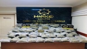 Sakarya'da 64 kilo 660 gram skunk ele geçirildi 