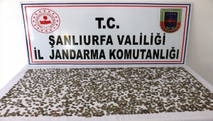 Şanlıurfa'da çeşitli dönemlere ait 2 bin 460 sikke ele geçirildi