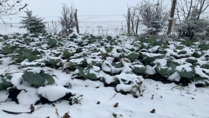 Tokat'ın yüksek kesimlerinde kar etkili oldu