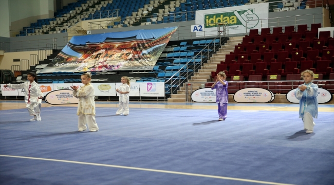 Wushu Tai Chi Türkiye Şampiyonası Sakarya'da başladı