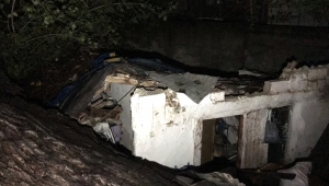 Adana'da iki evin üzerine devrilen ağaç hasara yol açtı