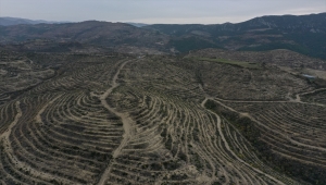 Adana'nın düşman işgalinden kurtuluşunun 100. yılında 100 bin fidan dikiliyor