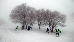 Ağrı'da Beşir Derneği gönüllüleri sokak hayvanlarını unutmadı
