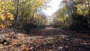 Amasya 20 yeni yürüyüş ve bisiklet rotasıyla turizm potansiyelini artıracak