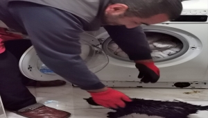 Artvin'de çamaşır makinesinde mahsur kalan yavru kediyi itfaiye ekipleri kurtardı