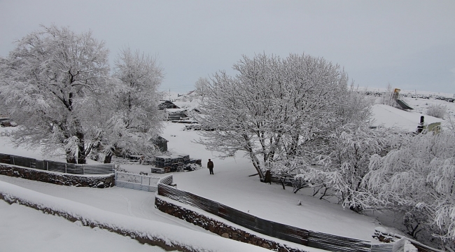 Bingöl Karlıova kar yağışıyla beyaza büründü 