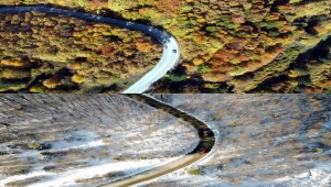 Bolu'daki ormanlarda iki mevsim tek karede birleşti