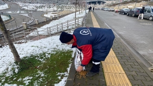 Düzce'de karda yiyecek bulmakta zorlanan sokak hayvanları unutulmadı