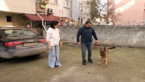 GÜNCELLEME - Zonguldak'ta çalınan köpeklerini bulan çift, büyük sevinç yaşadı