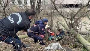Karabük'te uçuruma düşerek yaralanan kişi kurtarıldı