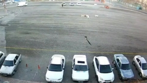 Kayseri'de sokak köpeklerinin çocuğa saldırma anı güvenlik kamerasına yansıdı