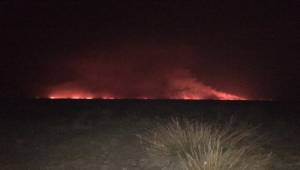 Kayseri Sultan Sazlığı Milli Parkı'nda yangın