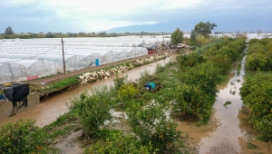 Kırmızı kodla aşırı yağış uyarısı yapılan Antalya'da hasar tespit çalışmalarına başlandı