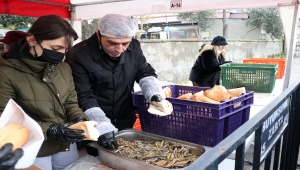 Manisa'daki şenlikte vatandaşlara 1 ton hamsi dağıtıldı