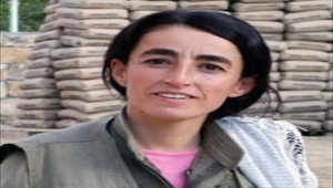 Mardin'de etkisiz hale getirilen 6 teröristten birinin "yeşil kategori"de arandığı belirlendi