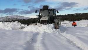 Mersin'de karda mahsur kalan çoban ve keçi sürüsü kurtarıldı