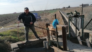 Mersin'de sulama kanalına düşen köpeği belediye ekipleri kurtardı