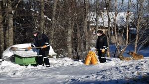 Osmangazi Belediyesi ekipleri Uludağ'da sokak hayvanları için yiyecek bıraktı