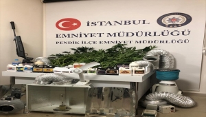 Pendik'te evde oluşturdukları serada Hint keneviri yetiştirerek satan 3 kişi yakalandı