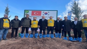 Pendik'te Türkiye-Kore Dostluk Ormanı'nda 50 bin fidan toprakla buluştu