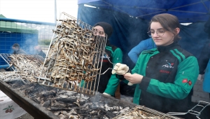 Rize'de üç günde ayıklanan 2,5 ton hamsi festivalde 2 saatte tüketildi