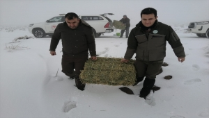 Şanlıurfa'da yaban hayvanları için doğaya yem bırakıldı