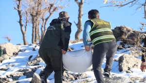 Siirt'te yaban hayvanları için doğaya yem bırakıldı