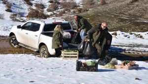 Şırnak'ta yaban hayvanları için doğaya yem bırakıldı
