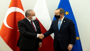 TBMM Başkanı Şentop, Polonya Senatosu Başkanı Grodzki ile görüştü