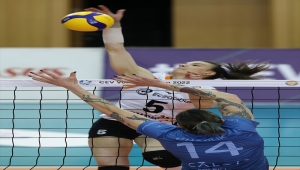 Voleybol: Kadınlar CEV Kupası