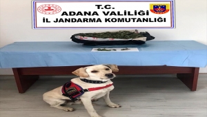 Adana'da uyuşturucu operasyonunda 2 kişi yakalandı