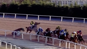 Adana'da yarışta attan düşen jokeylerden biri hastaneye kaldırıldı