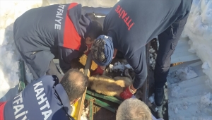Adıyaman'da kar nedeniyle çöken çatının altında kalan köpekler kurtarıldı