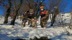 Adıyaman'da yavru köpeği jandarma hayata döndürdü