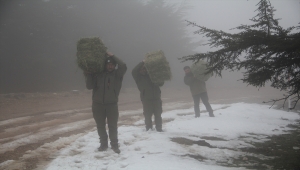 Amanos Dağları'nda yaban hayvanları için doğaya yem bırakıldı