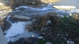 Amasya'da köpüren Tersakan Çayı'nda inceleme başlatıldı