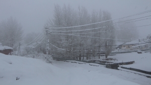 Bingöl ve Şırnak'ta 63 yerleşim yerine ulaşım sağlanamıyor