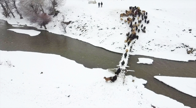 Bingöllü besiciler hayvanları için dondurucu soğukla mücadele ediyor